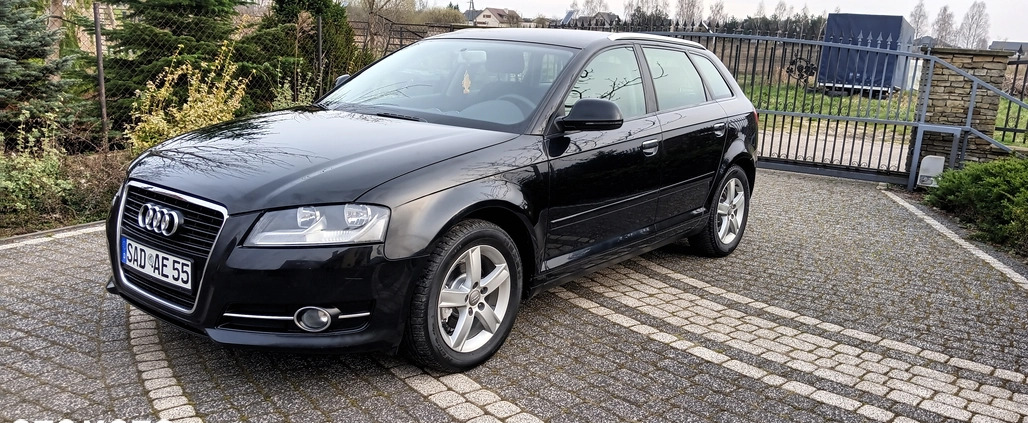 Audi A3 cena 25900 przebieg: 197258, rok produkcji 2009 z Kętrzyn małe 301